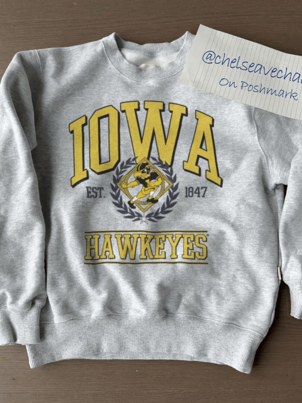 Vintage Iowa Hawkeyes Football Sweatshirt, 1847 University of Iowa Shirt Tee